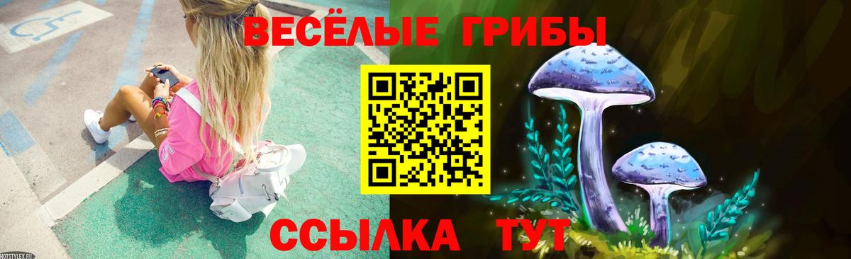 Галлюциногенные грибы Psilocybe Серов
